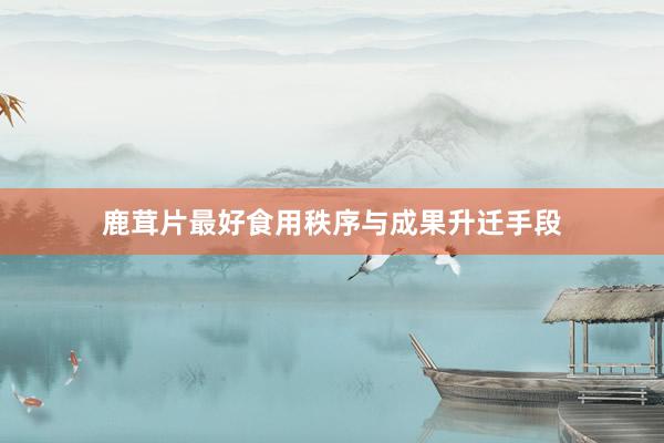 鹿茸片最好食用秩序与成果升迁手段